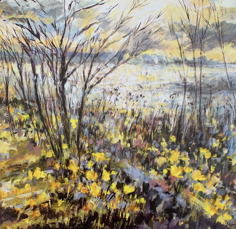 Early-Spring-Daffodils-Rutland-Water