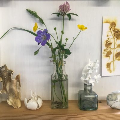 photograph of a shelf in Kathryn's studio, with a vase of wild flowers, shells, a pebble and a white sculpture inspired by orchids