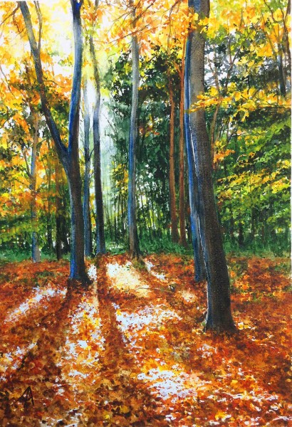 Ann Ardron specialises in landscape painting, focusing on light and mood. She concentrates on evocative scenery including forests, water and mountains.

Ann started painting seriously in her late teens, and has been a professional artist since 2008. Using a range of media, she mainly portrays the natural world - seeking to capture the emotional essence of a scene.

Much of her work reflects her lifelong enjoyment of walking in the UK countryside, and many paintings show the local landscape in its various moods through out the year. Trees and forests are a frequent subject, often featuring a hint of the path ahead. As she spends more time in the Lake District, much of her more recent work reflects that region's mountainous scenery and atmospheric weather.

Ann’s passion for travel is also an inspiration, so the almost bucolic local scenes mingle in her studio with vivid portrayals of tropical seas and more distant scenery. In recent years she has also started to focus on water as a subject, concentrating on the details of surface reflections from the unseen landscape above.

Please contact an if you would like to commission a bespoke painting from her. She is happy to work from photographs of a favourite landscape, and also takes portrait commissions.