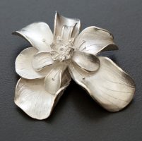 Caroline Hawkins, Silver jewelry