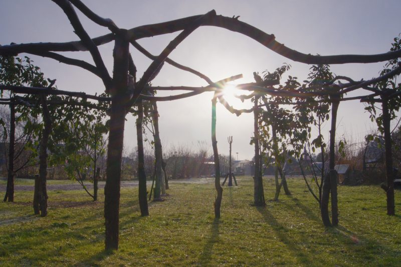 Midday sun floods through the Sun Gate of the wooden 'Torii Sun Henge' at the Green Backyard Peterborough 2017, photo: James Tovey
