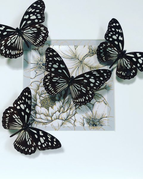 Butterfly and drawing artist Lisa Helin 2023
