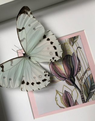 White morpho butterflies on acrylic and ink painting