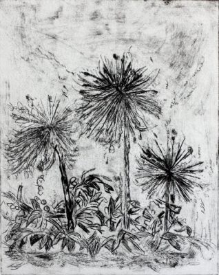 dandelion etching