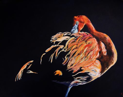 Flamingo against black background