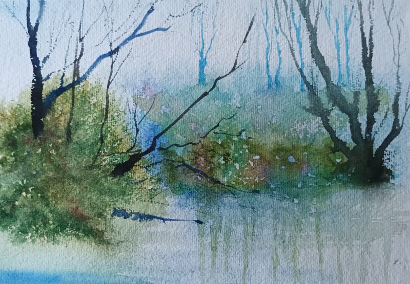 I am a watercolour/mixed media artist painting mainly landscapes. I like to paint wet-into-wet and find watercolour and also acrylic ink perfect for this technique. I am inspired by the trees in winter with the sun shining through the branches making patterns on the lakes or woodland. Since moving to Longthorpe I have had the opportunity to focus on the rural landscape so close by which has fired my imagination. I usually generate the composition in my head with a photo to help and then back to the studio to paint.

Do come and view my paintings and then feel free to sit in the garden a while. Drinks and light refreshments provided.

[caption id="attachment_23174" align="alignnone" width="400"] Summer Ramble[/caption]

[caption id="attachment_23177" align="alignnone" width="395"] Trees[/caption]

 