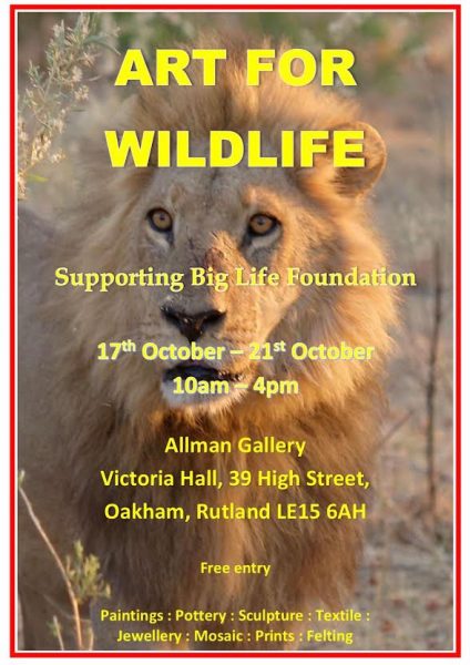 There will be 17 artists exhibiting at Allman Gallery with a wish to raise money for the Big Life Foundation.  On display will be paintings, pottery, sculpture, jewellery, photography, butterfly art, printing, mosaic, felting and textiles.

 

Big Life was founded in September 2010 by photographer Nick Brandt, conservationist Richard Bonham and entrepreneur Tom Hill to address the dramatic escalation of poaching in East Africa. Since its inception, Big Life has expanded to employ hundreds of local Maasai rangers -with permanent outposts, tent-based field units, patrol vehicles, tracker dogs and planes for aerial surveillance. As a result Big Life has dramatically reduced poaching of all wildlife in the Amboseli-Tsavo-Kilimanjaro ecosystem. To learn more visit the website at biglife.org

 