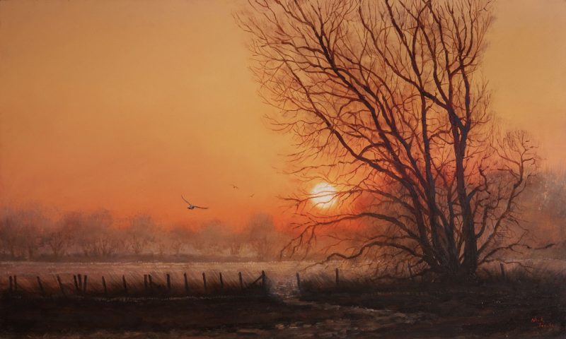Award-winning landscape artist Nick Tearle remains focused on the beauty of the fenland landscape. Nick sells original paintings, limited editions and books from his home studio.Working in oils, watercolour and charcoal Nick presents his romantic vision of the fens and welcomes you to spend a while under the spell of the region’s desolate yet inspiring beauty.

Having recently moved to Spalding, Lincolnshire - known locally as the heart of the fens - Nick opens his home and upstairs studio hoping that you will visit and discover a new perspective on the local landscape.

"This is our landscape, let's take pride in its unique beauty" - Nick Tearle, Fenland Artist