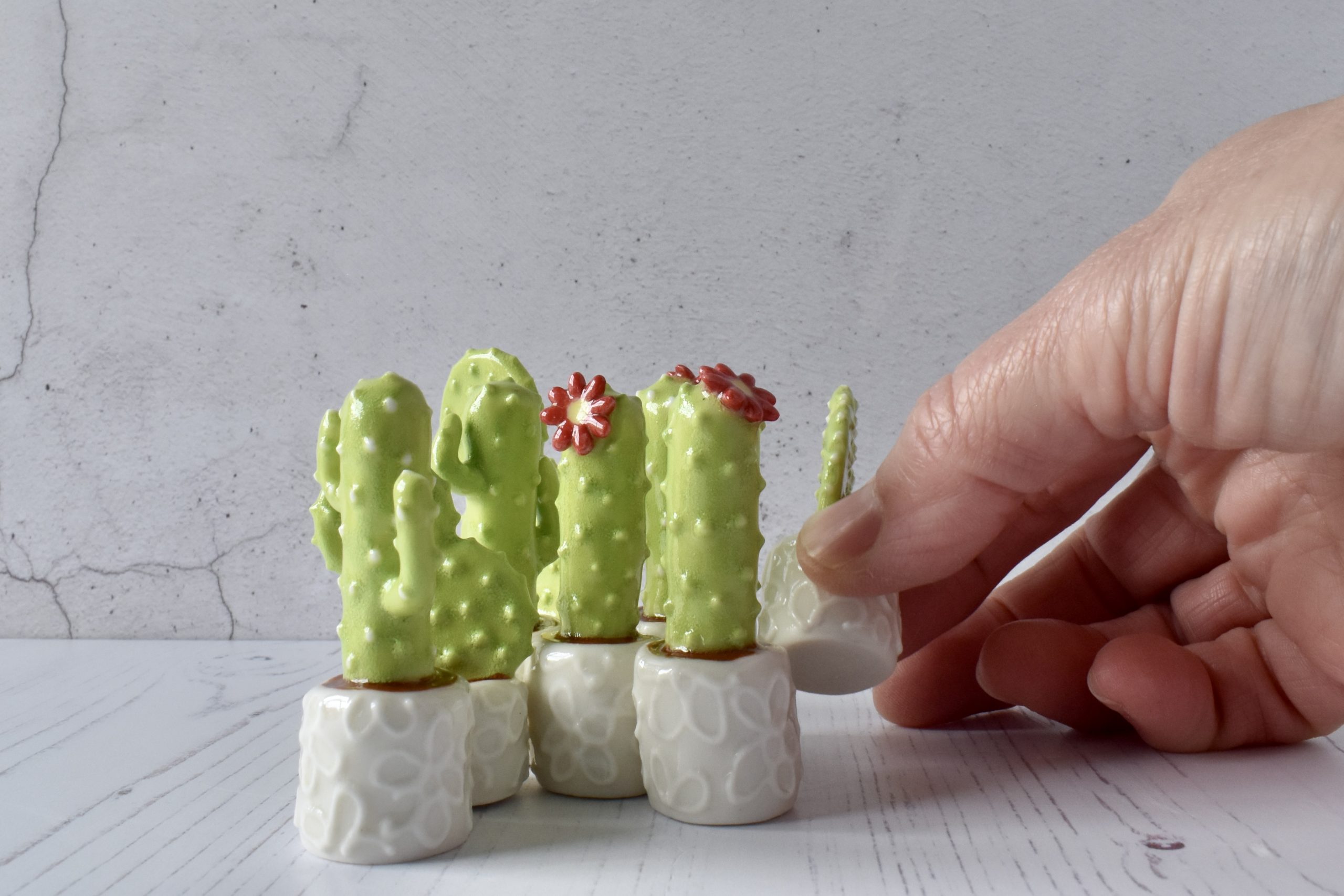 Small hand made cacti; porcelain clay, slip trailed raised texture.