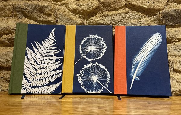 3 hardback, handbound notebooks with either orange, yellow or green fabric spines. White images on a Prussian blue background of fern, allium, guinea fowl feather
