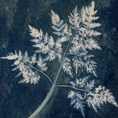 adding vinegar and soap suds to produce different tones on blue for the background. The leaf remains white