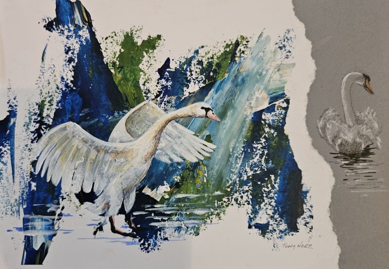 &nbsp;

My work is very diverse in subject matter and I work in a variety of mediums such as pencils, charcoal, pastels, oils and watercolour. The majority of my art being self-taught but I also undertook some formal fine arts training at the London Guildhall University.

Originally trained as a graphic designer, I worked in the music industry producing record sleeves and printed materials for a period that exceeded 20 years. Almost half of this time spent managing my own graphic studio.

&nbsp;

Since my first solo exhibition in 2008 I have been showing my work regularly and is pro-active in promoting and documenting local art in Peterborough. As well as producing a small quarterly newsletter, I am also an active committee member of two local art groups.

&nbsp;

Follow me on:

Twitter Facebook&nbsp;Instagram&nbsp;and&nbsp;Google+